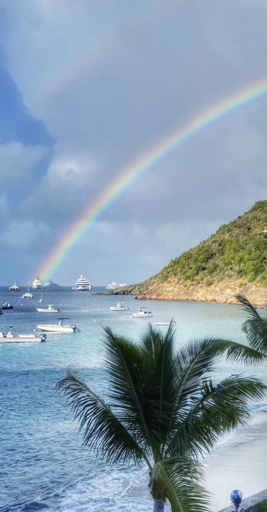 Rainbow over Saint-Barth coastline with palm tree