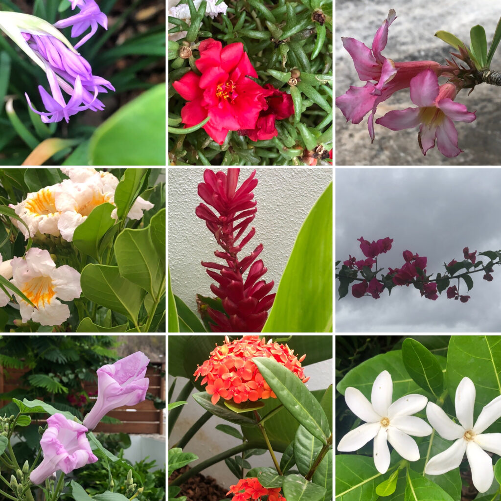 mosaique de fleurs fleurs mellowmood